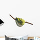 Green Tree Python Wall Mural
