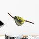 Green Tree Python Wall Mural