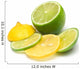 Lemon and lime Wall Decal