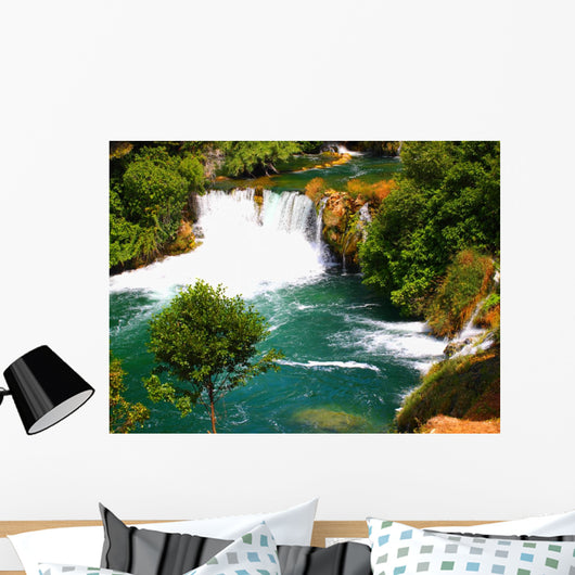 Olympus Digital Camera Wall Mural