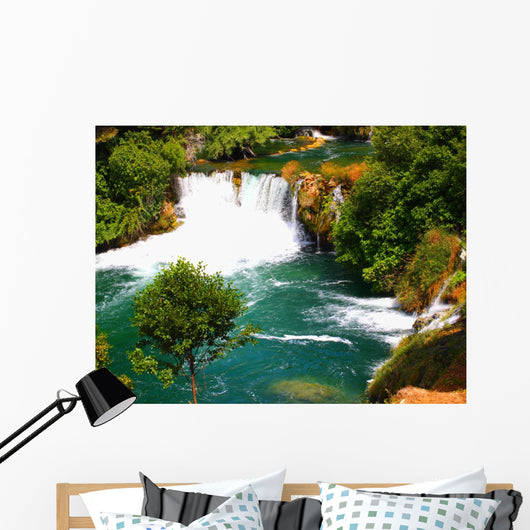 Olympus Digital Camera Wall Mural