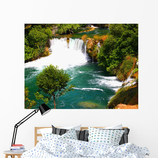 Olympus Digital Camera Wall Mural