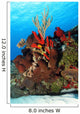 Corals Against Surface Cozumel Mexico Wall Mural