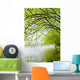 River Willow Trees Wall Mural