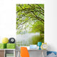 River Willow Trees Wall Mural