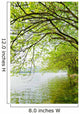 River Willow Trees Wall Mural