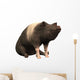 Ringed Piggie Wall Mural