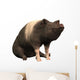 Ringed Piggie Wall Mural
