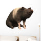 Ringed Piggie Wall Mural