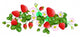 Vector isolated strawberries Wall Decal
