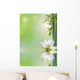 aquatic flora, relaxing decor Wall Mural