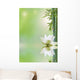 aquatic flora, relaxing decor Wall Mural