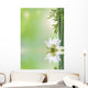 aquatic flora, relaxing decor Wall Mural