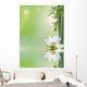 aquatic flora, relaxing decor Wall Mural