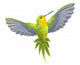 Hummingbird Wall Decal