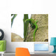 Green Madagascar Day Gecko Wall Mural