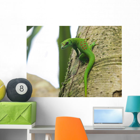 Green Madagascar Day Gecko Wall Mural