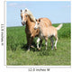 Beautiful Haflinger Mare with