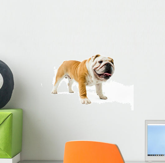 Bulldog Wall Decal
