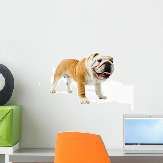 Bulldog Wall Decal