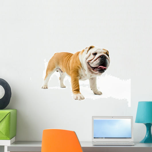 Bulldog Wall Decal