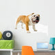 Bulldog Wall Decal