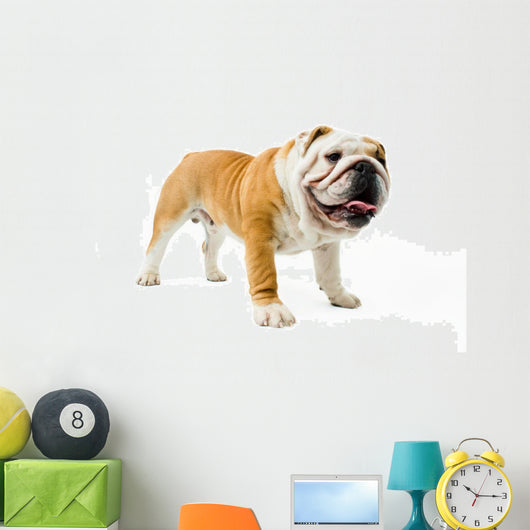 Bulldog Wall Decal