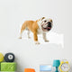 Bulldog Wall Decal