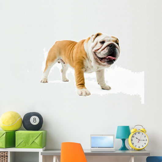 Bulldog Wall Decal