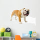 Bulldog Wall Decal