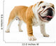 Bulldog Wall Decal