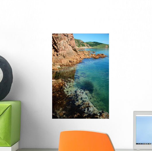 Seashore Underwater Life Echinuses
