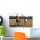 Horses Wall Mural