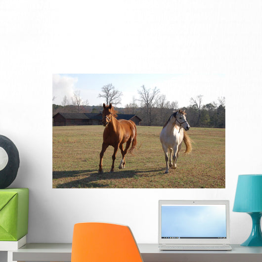 Horses Wall Mural