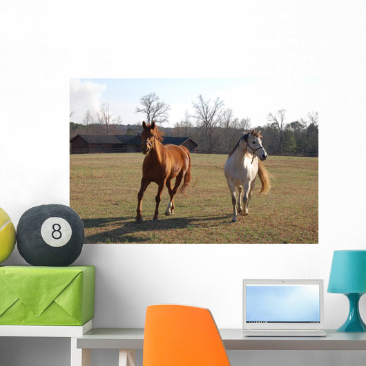 Horses Wall Mural