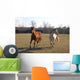 Horses Wall Mural
