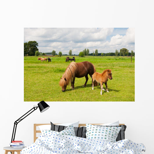Pony Meadows