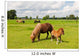 Pony Meadows