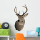 Trophy Whitetail Deer Buck Wall Decal