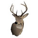 Trophy Whitetail Deer Buck Wall Decal