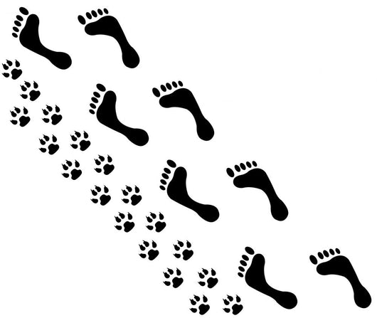 People and Pet Footsteps