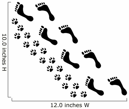People and Pet Footsteps