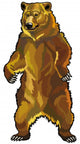 grizzly bear Wall Decal