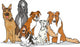 Cute Purebred Dogs Group Cartoon Illustration Wall Decal