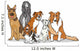 Cute Purebred Dogs Group Cartoon Illustration Wall Decal