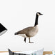 Canada Goose Wall Decal