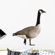 Canada Goose Wall Decal