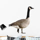 Canada Goose Wall Decal