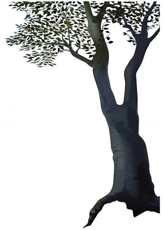 Tree Deciduous Tree Wall Mural