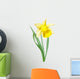 Yellow-white narcissus flower Wall Decal